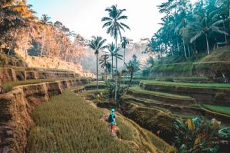 Adventure Tour